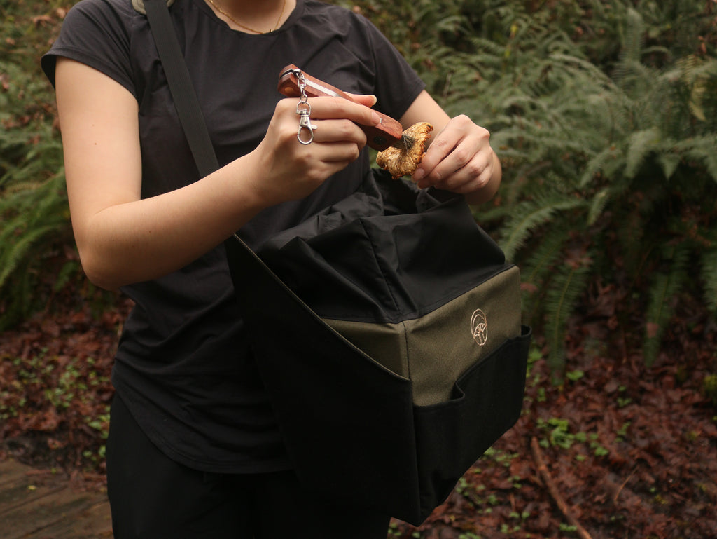 Person holding a black and brown bag, brushing a mushroom with a forest background