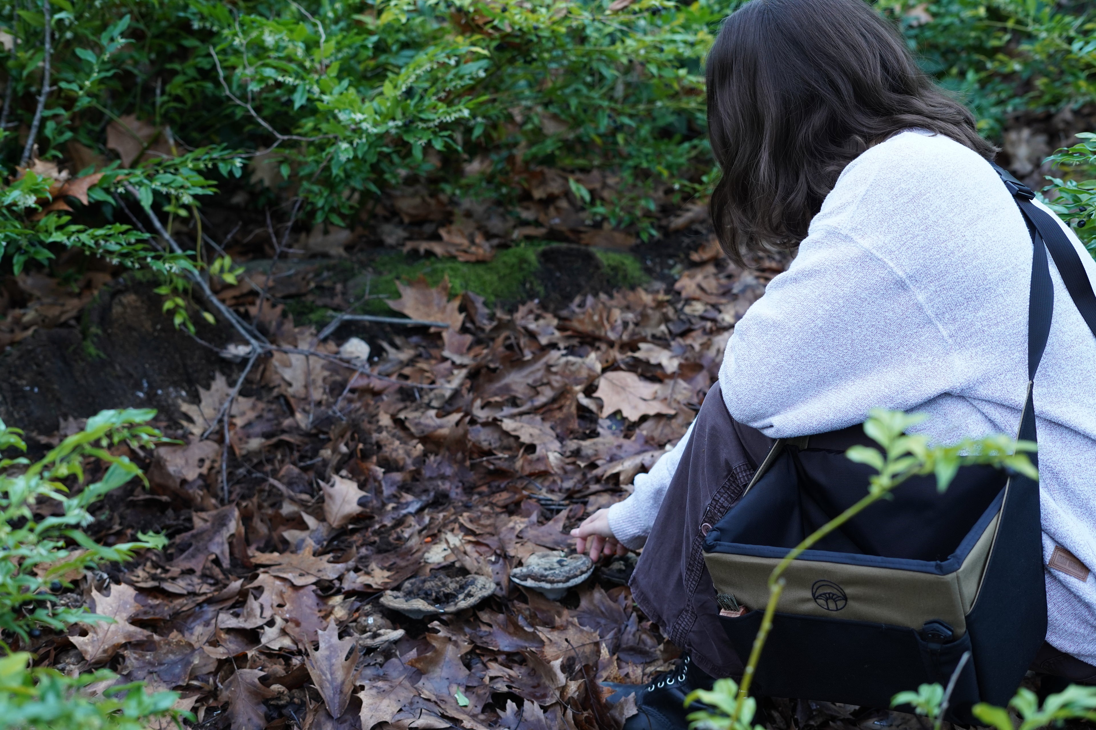Person in a forest setting examining mushrooms on the ground.