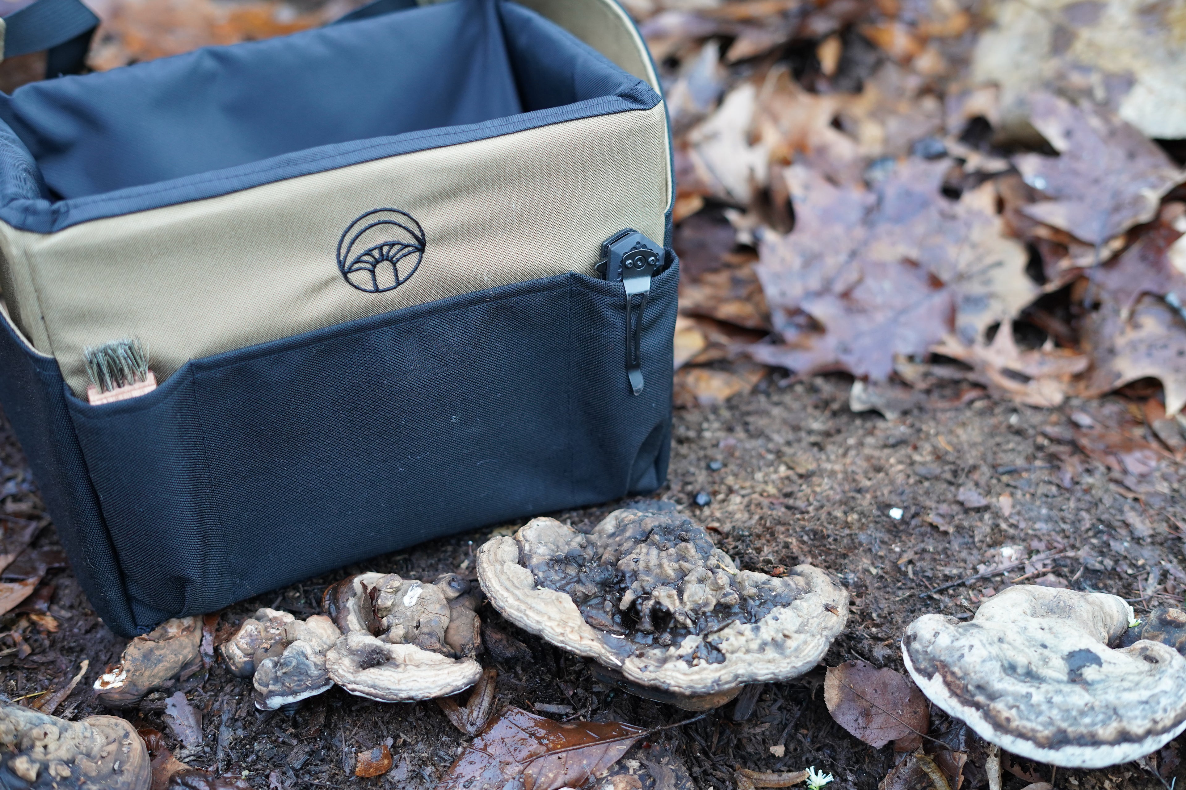 Bag on a forest floor with mushrooms